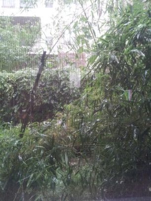New York - a view of our courtyard as Hurricane Sandy approaches 