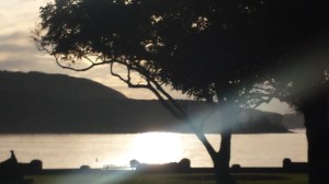 Balmoral Beach at 7am in the middle of winter